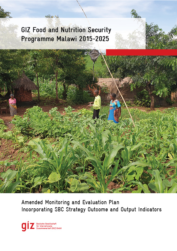 Food and Nutrition Security Programme, M and E Plan, Title Page